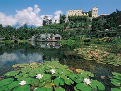 The Trauttmandorff gardens