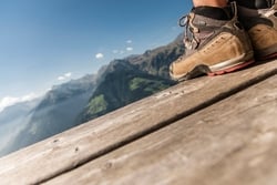Almenrausch - mit geführter Wanderung & Wanderpanoramakarte