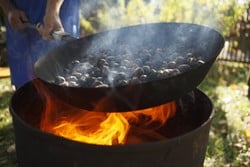 Settimane di "Törggelen" con serata di Törggelen e giornata relax alle Terme di Merano