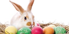 Ostern – verlockende Frühjahrstage -        7 Tage