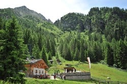 Schenna - Streitweideralm