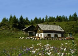 Schenna - Stafelhütte