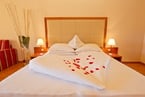 Photos of our rooms and suites